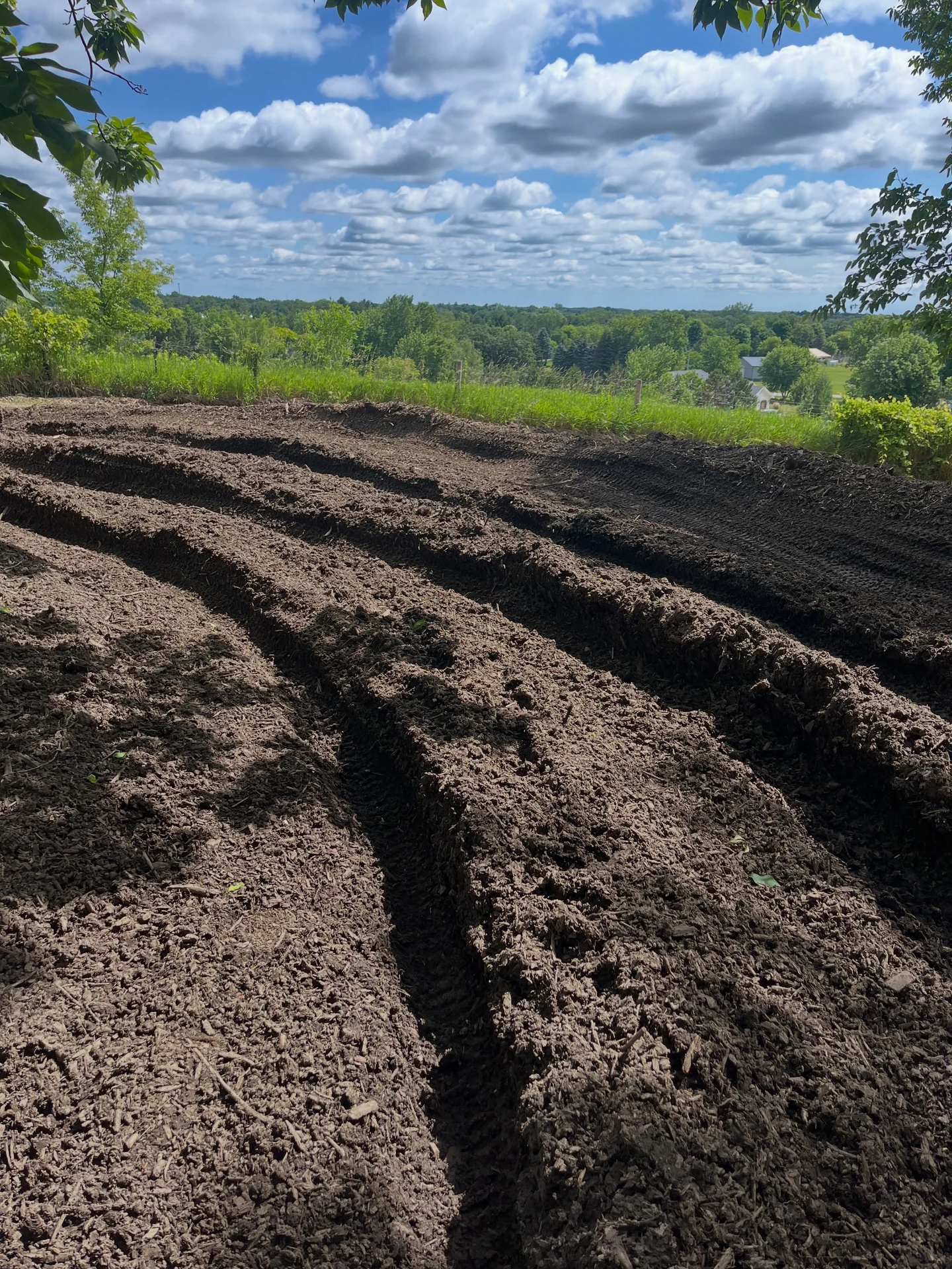 Prepared garden beds with rich soil under a cloudy blue sky.
